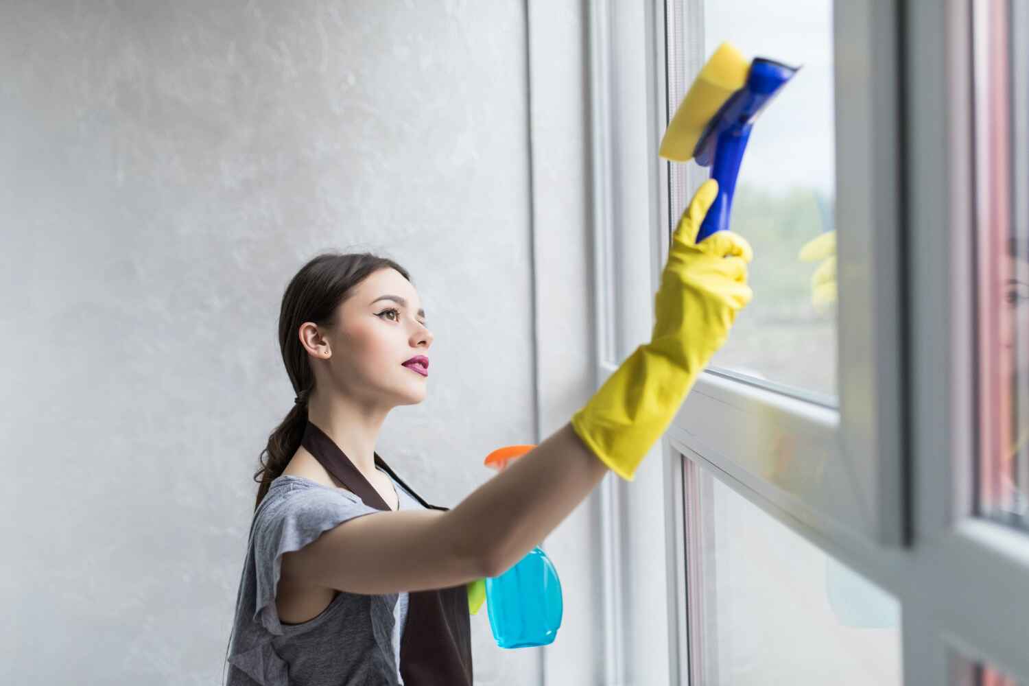 Expert Window Cleaning Solutions for Homes and Businesses